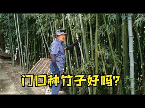 田地陽一 家裡種竹子
